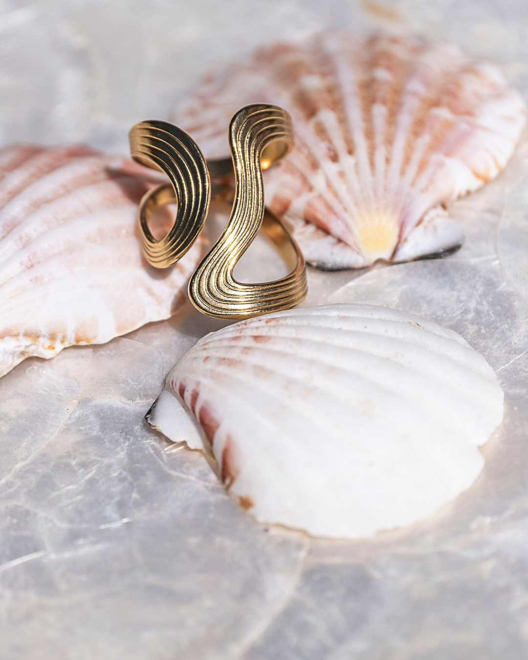 Ocean Ring