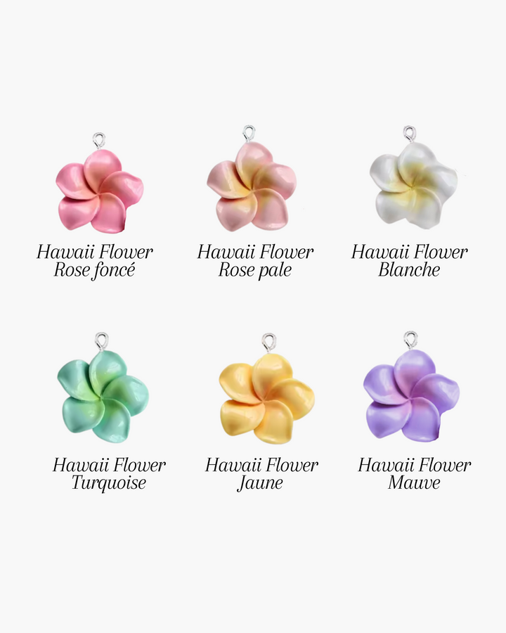 Collier Hawaii