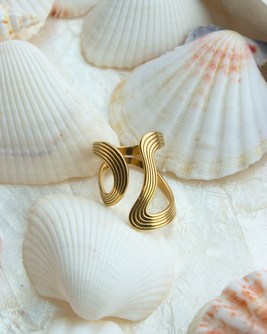 Ocean Ring