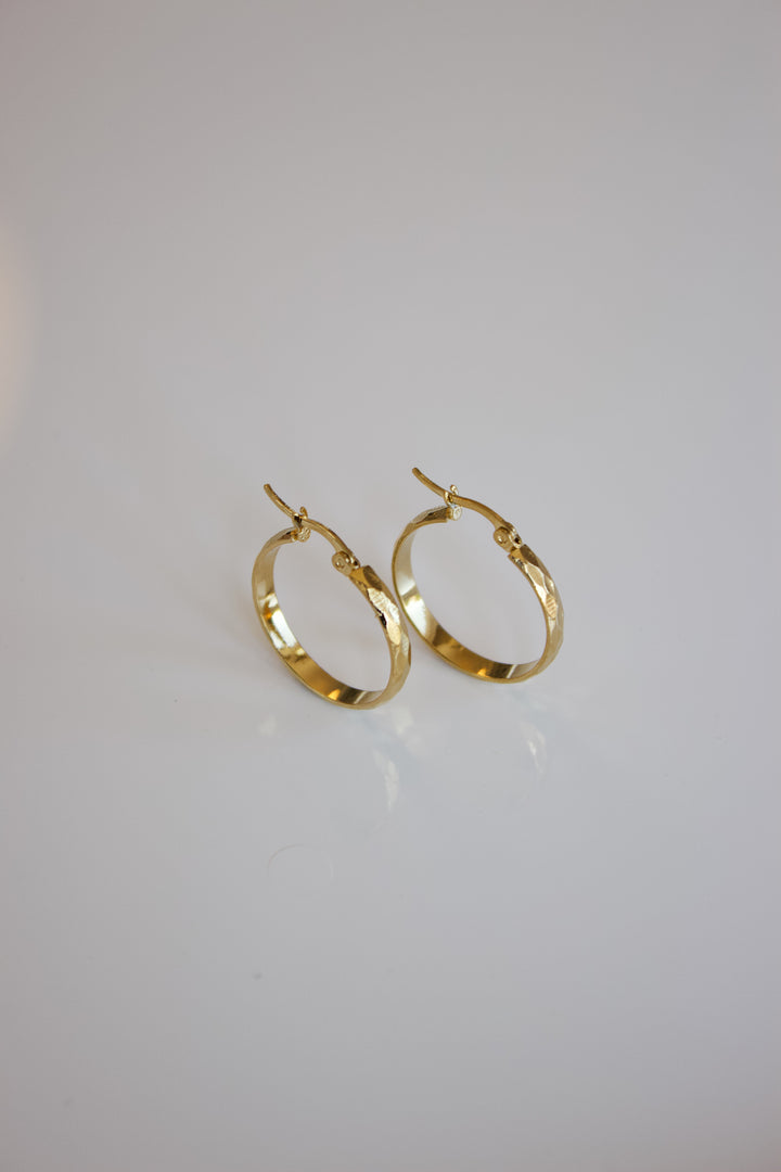 Sunny hoops