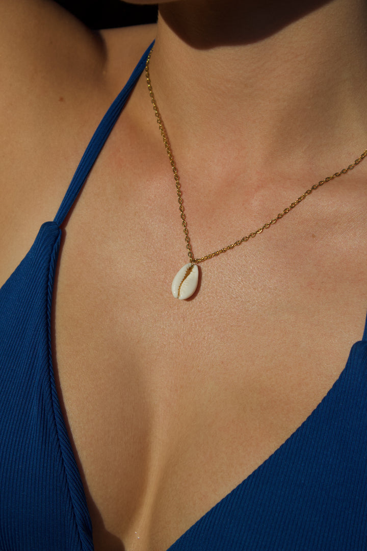 Seashell