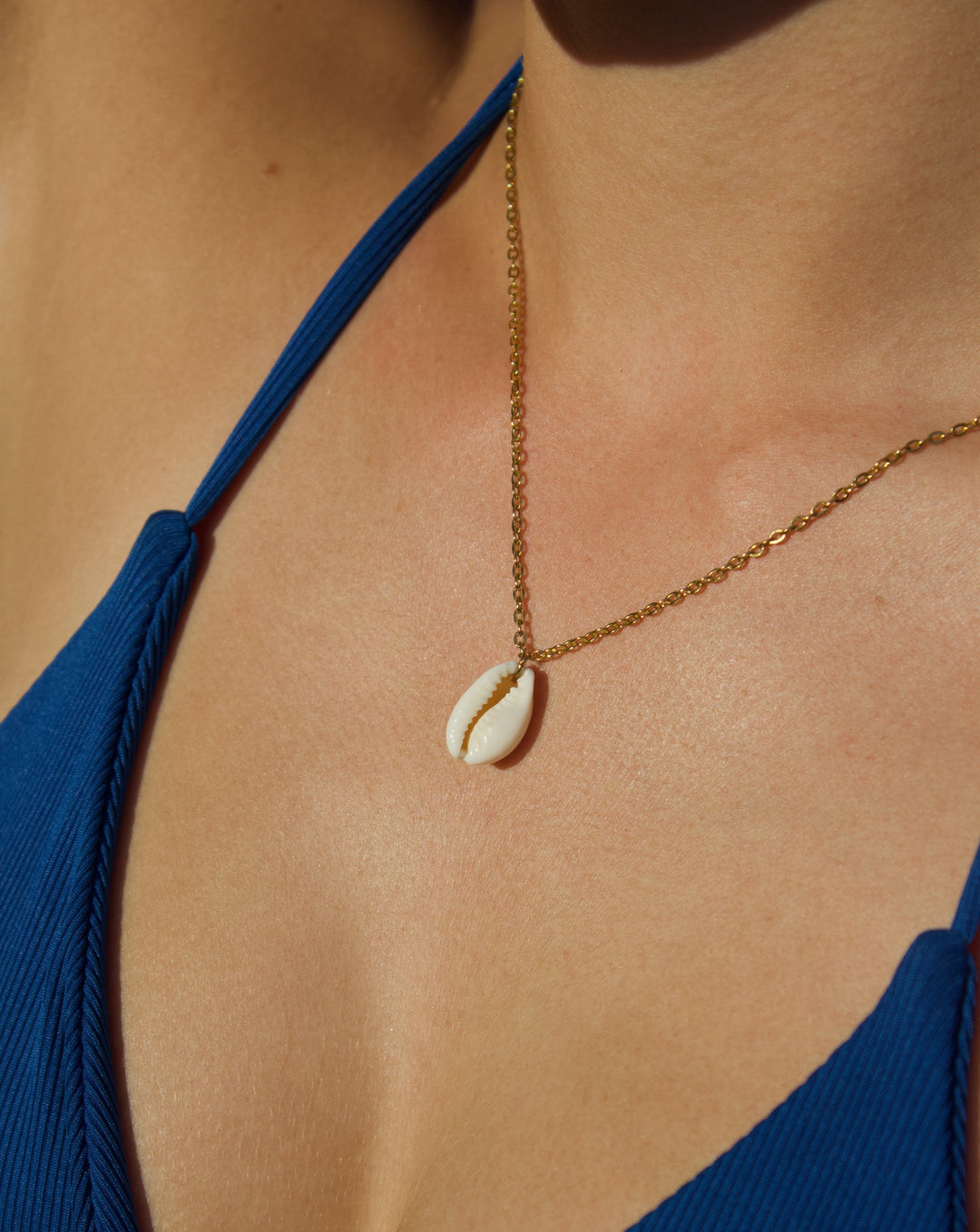 Seashell